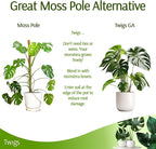 Stackable Monstera Plant Support Stakes, Climbing Support - Image 6