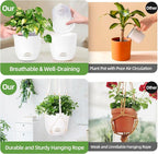 2-Pack 7.1-Inch Self-Watering Orchid Hanging planterS - Image 2