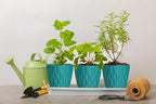 6 Inch Plant Pots, 6 Pack Indoor Flower Pots, Planters - Image 5