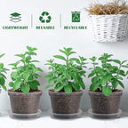 7 Pack 8 Inch Clear Nursery Pots - Image 6