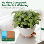 T4U 2 Pack 8 Inch Self Watering Pots - Image 7