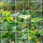 Tcamp Trellis Netting for Climbing Plants Outdoor Indoor - Image 7