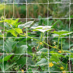 Tcamp Trellis Netting for Climbing Plants, Cucumber Trellis for Garden - Image 6
