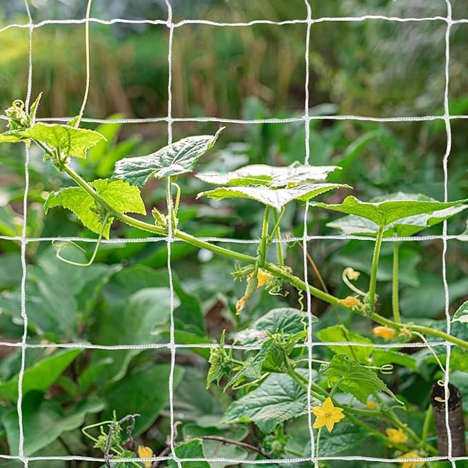 Tcamp Trellis Netting for Climbing Plants, Cucumber Trellis for Garden - Image 6