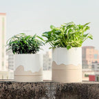 Nihow Ceramic Plant Pot: 6 Inch Planter - Image 5
