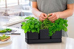 D'vine Dev Herb Garden Planter Set, Plastic Plant Pots - Image 4