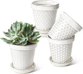 LE TAUCI Ceramic Plant Pots, 4.9 Inch Flower Pots by LETAUCI