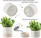 Nihow Self Watering Plant Pot: 4.5 Inch Ceramic Planter - Image 3