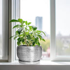 SQOWL Ceramic Pot for Plants - Image 4