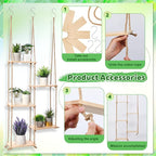 Novabright Window Hanging Plant Shelf - Image 4