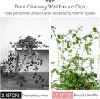 40 Pcs Plant Climbing Wall Fixture Clips Self-Adhesive Hook Vines Traction - Image 3