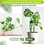 Extendable Plant Stakes, Adjustable Length from 14.3IN to 25IN Monstera Support - Image 3