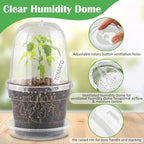 BTPLASTIK 6 Inch Clear Nursery Pots - Image 4