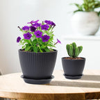 7/6.2/5.5/5/4.5/4 inch Flower Pots, 6 Pack Plant Pots - Image 7