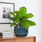 G EPGardening Ceramic Pot for Plants - Image 5