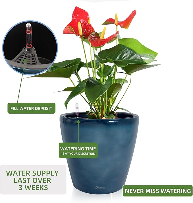 Dexceder 15x14 Self Watering Planter - Image 5