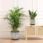 DeeCoo 3 Piece Ceramic Plant pots Indoor Pots Set - Image 5