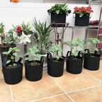 JERIA 12-Pack 7 Gallon Grow Bags, 300G Thickened Nonwoven Garden Pots, Heavy - Image 7