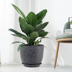 12inch Large Plant Pot, Modern Plastic Planter - Image 7