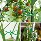 Hysagtek 120 Pcs Large Garden Plant Clips Tomato Clips Plant Locks Clips - Image 4