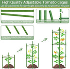 Halatool 8 Pack Tomato Cages for Garden, Garden Stakes Tomato Trellis for Pots - Image 3