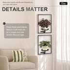 Sisher Plant Stand Indoor Outdoor, Window Plant Shelf Picture Frame Wall Plant - Image 7