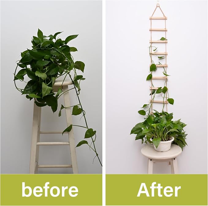 Sturdy Climbing Plants Trellis - Image 3