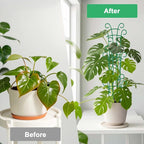 Plant Trellis for Potted Plants 12 Pack Stackable Indoor Outdoor Climbing - Image 7