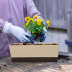 GREANER Planter Windowsill Box, 1 Pack 12x3.8 Inch Herb Rectangle Planter - Image 5