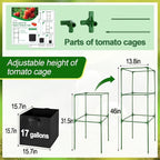 ANPHSIN 3 Sets Tomato Cages - Image 5
