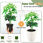8-Pack 5 Inch Self Watering Pots, Indoor Planter - Image 8