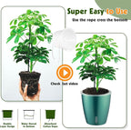 Self Watering Pots for Indoor Plants, Small African Violet Pots - Image 7