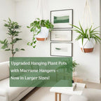 Set of 3 Hanging Planters for Indoor Plants - Image 8