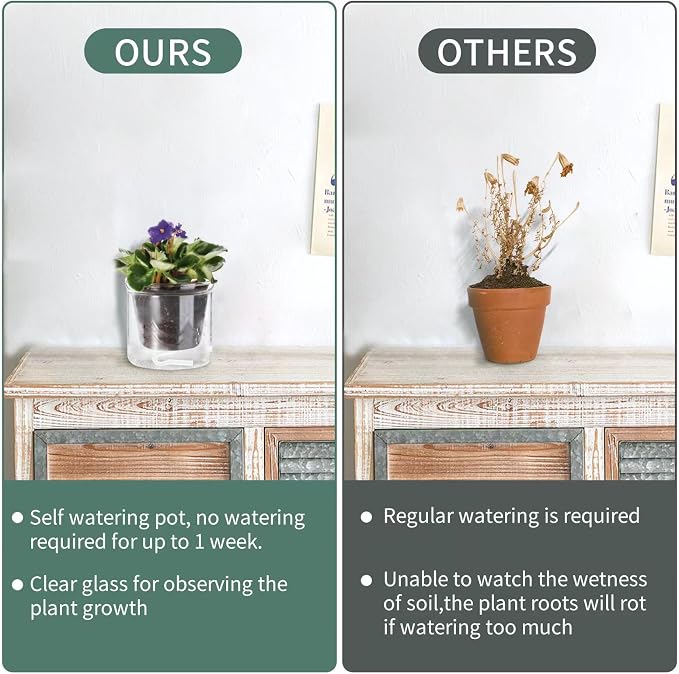 4 Inch Self Watering Pot, African Violet Pot, Bottom Watering Glass Planter - Image 6