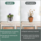 4 Inch Self Watering Pot, African Violet Pot, Bottom Watering Glass Planter - Image 6
