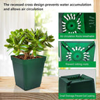Square Nursery Succulent Pots 4 Inches 60 Pcs Deep Flower Plant Nursery - Image 4