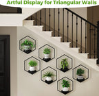 Wall Planters for Indoor Plants 7 Pack, Plant Frames Wall Decor Living Room - Image 4