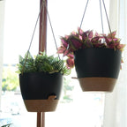8 inch Hanging Planters, 2 Pack Self Watering Hanging Pots - Image 6