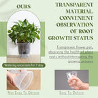 Self Watering Pots for Indoor Plants - Image 5