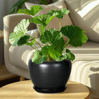 Ceramic Planter Pot - Image 7