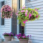 Heybe Swivel Hanging Basket Chains 23 Inches 4 Leads Hanging Chains Flower Pot - Image 5