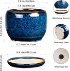 SQOWL Ceramic Planter 8 Inch - Image 3