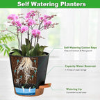 Orchid Pots with Holes, 6 Inch Self Watering Orchid Pot 2 Pack Plastic Plant - Image 3