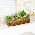 Succulent Pots - 12 Inch Large Succulent Planters - Image 4