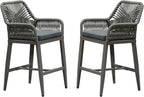 PURPLE LEAF Outdoor 24" Counter Height Bar Stools Chair Set of 2, All Weather by PURPLELEAF