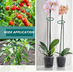 MAFONE 6 Pack 24inch Plant Support Stakes, Plant Stick - Image 4
