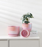 Ton Sin Pink Gold Ceramic Flower Pots, Modern Indoor Decorative Plant Pots Set - Image 7