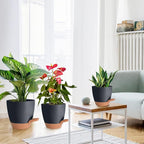 Planters for Indoor Plants, 8/7/6.5/6/5.5/5 Inch Self Watering Plant Planters - Image 6