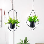 Modern Hanging Planters for Indoor Plants, Metal Plant Hanger - Image 5