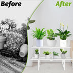 2 Tier Metal Plant Stand Outdoor Indoor, Separated Tiered Outdoor Folding Plant - Image 8